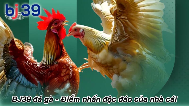 BJ39 đá gà - Điểm nhấn độc đáo của nhà cái