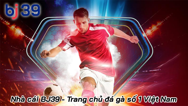 BJ39 - Trang chủ casino và đá gà trực tiếp Thomo chính thức