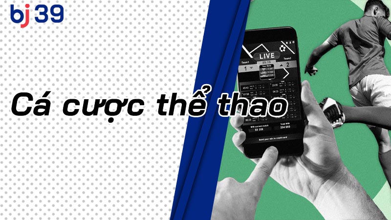 Cá Cược Thể Thao BJ39 - Hướng Dẫn Toàn Diện Cho Người Mới