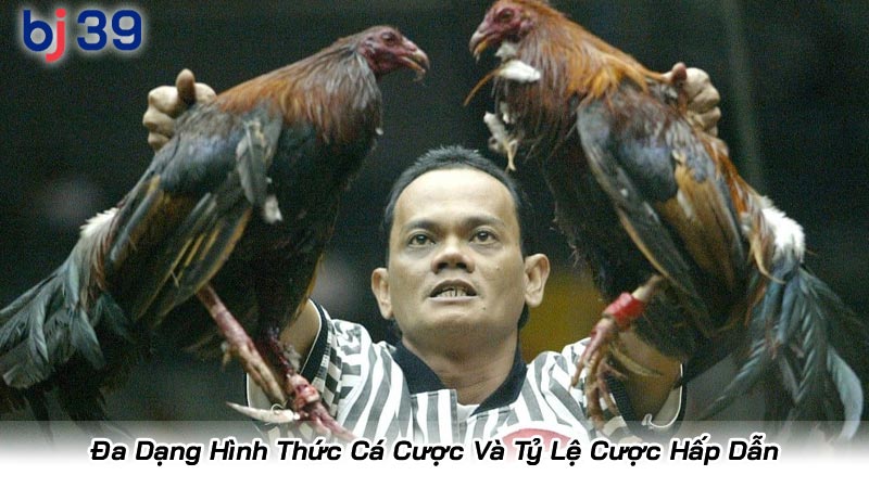 Đa Dạng Hình Thức Cá Cược Và Tỷ Lệ Cược Hấp Dẫn