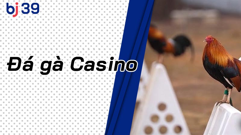 Đá Gà Casino 2025: Top 10 Nhà Cái Uy Tín & Hướng Dẫn Cá Cược