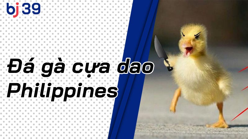 Bí Quyết Cho Lính Mới Khi Chơi Cược Đá Gà Cựa Dao Philippines
