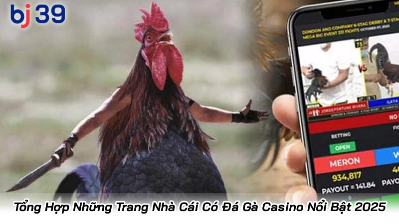 Tổng Hợp Những Trang Nhà Cái Có Đá Gà Casino Nổi Bật 2025